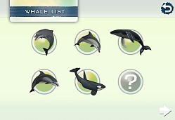 画像ギャラリー No.012のサムネイル画像 / クジラやイルカを撮影できる癒やし系アプリ「リアルホエール」が配信スタート
