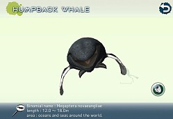 画像ギャラリー No.014のサムネイル画像 / クジラやイルカを撮影できる癒やし系アプリ「リアルホエール」が配信スタート
