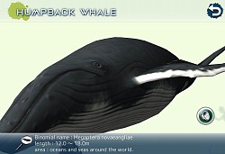 画像ギャラリー No.015のサムネイル画像 / クジラやイルカを撮影できる癒やし系アプリ「リアルホエール」が配信スタート