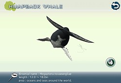 画像ギャラリー No.016のサムネイル画像 / クジラやイルカを撮影できる癒やし系アプリ「リアルホエール」が配信スタート
