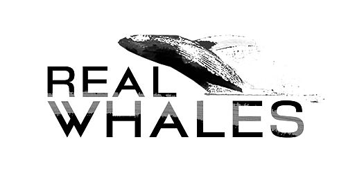 画像ギャラリー No.021のサムネイル画像 / クジラやイルカを撮影できる癒やし系アプリ「リアルホエール」が配信スタート