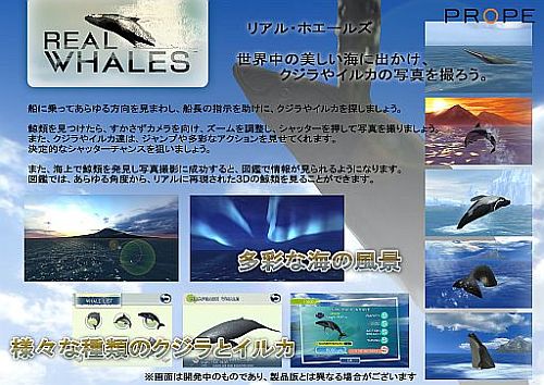 画像ギャラリー No.022のサムネイル画像 / クジラやイルカを撮影できる癒やし系アプリ「リアルホエール」が配信スタート