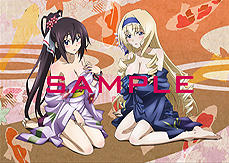 画像ギャラリー No.005のサムネイル画像 / 「IS＜インフィニット・ストラトス＞2 イグニッション・ハーツ」の店舗特典情報および描き下ろしイラストが公開。予約特典の情報も明らかに