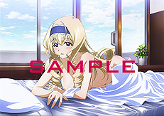 画像ギャラリー No.006のサムネイル画像 / 「IS＜インフィニット・ストラトス＞2 イグニッション・ハーツ」の店舗特典情報および描き下ろしイラストが公開。予約特典の情報も明らかに