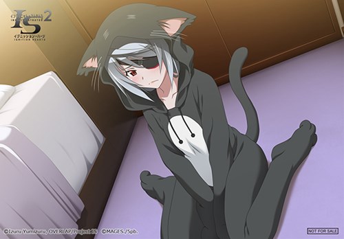 画像ギャラリー No.005のサムネイル画像 / 「IS2 イグニッション・ハーツ」テレカやタペストリーなど店舗特典第2弾が公開