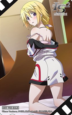 画像ギャラリー No.009のサムネイル画像 / 「IS2 イグニッション・ハーツ」テレカやタペストリーなど店舗特典第2弾が公開