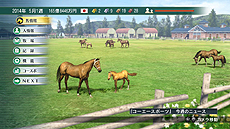 画像ギャラリー No.014のサムネイル画像 / 「ウイポ」シリーズの“集大成”となる「Winning Post 8」が発表。PC版が2014年2月28日,PS3版/PS Vita版が同3月27日に発売