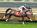 「Winning Post 8」，最強馬を産み出すために知っておきたい情報が一挙公開に。実在の種牡馬や繁殖牝馬も多数登場