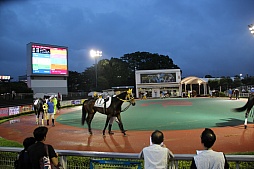 画像ギャラリー No.002のサムネイル画像 / 「Winning Post」シリーズの冠レースが大井競馬場で開催。ソフトやPS Vita本体が当たる抽選会も実施中