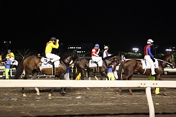 画像ギャラリー No.004のサムネイル画像 / 「Winning Post」シリーズの冠レースが大井競馬場で開催。ソフトやPS Vita本体が当たる抽選会も実施中