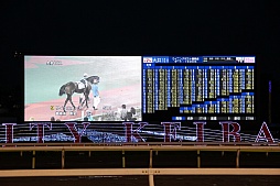 画像ギャラリー No.005のサムネイル画像 / 「Winning Post」シリーズの冠レースが大井競馬場で開催。ソフトやPS Vita本体が当たる抽選会も実施中