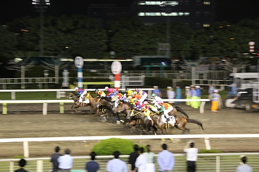 画像ギャラリー No.006のサムネイル画像 / 「Winning Post」シリーズの冠レースが大井競馬場で開催。ソフトやPS Vita本体が当たる抽選会も実施中