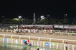 画像ギャラリー No.007のサムネイル画像 / 「Winning Post」シリーズの冠レースが大井競馬場で開催。ソフトやPS Vita本体が当たる抽選会も実施中