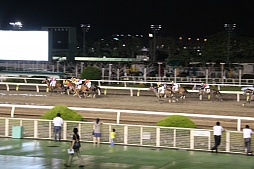 画像ギャラリー No.009のサムネイル画像 / 「Winning Post」シリーズの冠レースが大井競馬場で開催。ソフトやPS Vita本体が当たる抽選会も実施中