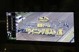 画像ギャラリー No.012のサムネイル画像 / 「ウイニングポスト×東京シティ競馬」コラボイベントの模様をレポート。「Winning Post 8 2016」によるレースシミュレーションの結果は？