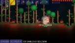 画像ギャラリー No.004のサムネイル画像 / PS Vita版「テラリア」が2014年2月6日に登場。PS3版をベースに新機能や新要素が追加