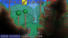 画像ギャラリー No.014のサムネイル画像 / PS Vita版「テラリア」が2014年2月6日に登場。PS3版をベースに新機能や新要素が追加