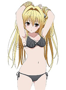 画像ギャラリー No.004のサムネイル画像 / 「To LOVEる‐とらぶる‐ ダークネス バトルエクスタシー」，店舗別特典のイラストが公開