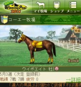 画像ギャラリー No.003のサムネイル画像 / 「100万人のWinning Post」が2014年度版にリニューアル。記念キャンペーンも
