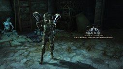 画像ギャラリー No.003のサムネイル画像 / PS4/PS3版「ディアブロ III リーパー オブ ソウルズ アルティメット イービル エディション」が,「ワンダと巨像」「The Last of Us」とコラボ決定