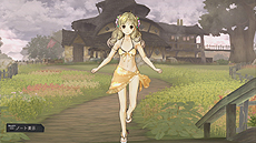 画像ギャラリー No.049のサムネイル画像 / PS Vita「アーシャのアトリエ Plus 〜黄昏の大地の錬金術士〜」が3月27日発売。PS3版のDLCを最初から収録，「ハードモード」などの追加要素も満載