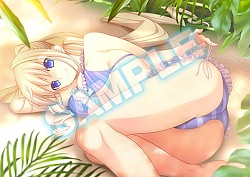 画像ギャラリー No.002のサムネイル画像 / 「マブラヴ photonmelodies♮」,店舗別予約特典の内容と使用イラストを公開