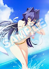 画像ギャラリー No.006のサムネイル画像 / 「マブラヴ photonmelodies♮」,店舗別予約特典の内容と使用イラストを公開