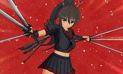 画像ギャラリー No.065のサムネイル画像 / 「閃乱カグラ」の発表会で一挙に3つの新作が明らかに。アイドルユニットKNUや原田ひとみさん，喜多村英梨さんも登場したイベントの模様をレポート