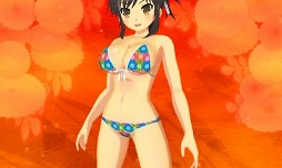 画像ギャラリー No.011のサムネイル画像 / 「閃乱カグラ2」,シューティングも遊べるDLC「閃乱カグラ2 Hipster」が配信