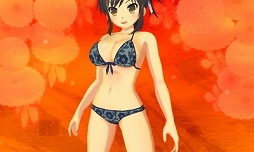 画像ギャラリー No.012のサムネイル画像 / 「閃乱カグラ2」,シューティングも遊べるDLC「閃乱カグラ2 Hipster」が配信
