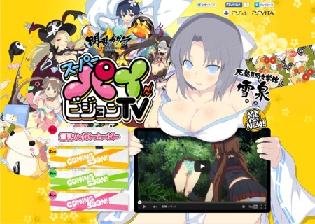 画像ギャラリー No.002のサムネイル画像 / 「閃乱カグラ ESTIVAL VERSUS」，17分におよぶ最新PV「最胸の夏の始まり」が公開に