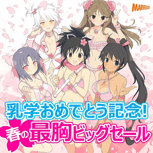 画像ギャラリー No.001のサムネイル画像 / PS Vita版「閃乱カグラ ESTIVAL VERSUS」のDL版が3980円のセール価格に
