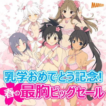 画像ギャラリー No.003のサムネイル画像 / 「閃乱カグラ ESTIVAL VERSUS 」本編とDLCが割引き価格で購入できるキャンペーンを実施