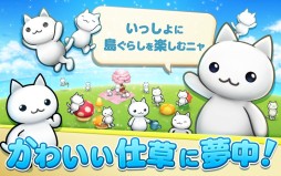 ほしの島のにゃんこ