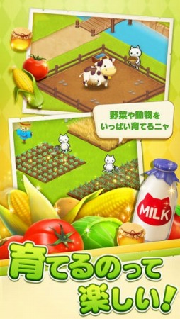 ほしの島のにゃんこ