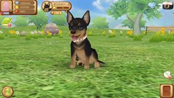 画像ギャラリー No.002のサムネイル画像 / スマホ向けわんこ育成シム「てのひらワンコ」の事前登録受付が本日スタート