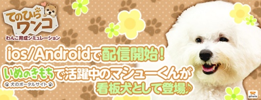 画像ギャラリー No.002のサムネイル画像 / iOS/Android向けわんこ育成シム「てのひらワンコ」が本日配信スタート