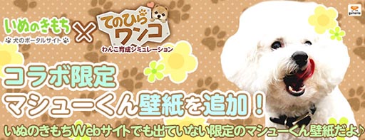 画像ギャラリー No.002のサムネイル画像 / 「てのひらワンコ」,いぬのきもちのマシュー君の限定壁紙が登場
