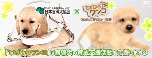 画像ギャラリー No.002のサムネイル画像 / 「てのひらワンコ」アイテムを購入することで日本盲導犬協会への寄付が可能に