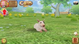 画像ギャラリー No.004のサムネイル画像 / 「てのひらワンコ」が20万DL突破。「ダイヤ」が手に入る記念キャンペーンも