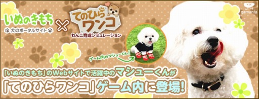 画像ギャラリー No.002のサムネイル画像 / 「てのひらワンコ」に,Webサイト「いぬのきもち」のマシューくんが登場