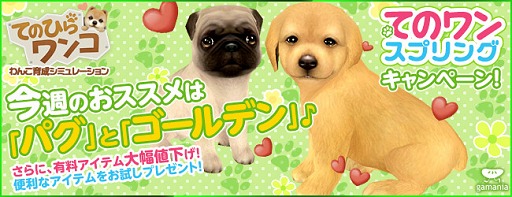 画像ギャラリー No.001のサムネイル画像 / 「てのひらワンコ」今週の半額ワンコはパグとゴールデンお試しアイテムも