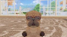 画像ギャラリー No.002のサムネイル画像 / 「てのひらワンコ」公式Twitterが登場。フォロワー500名達成でアイテム配布