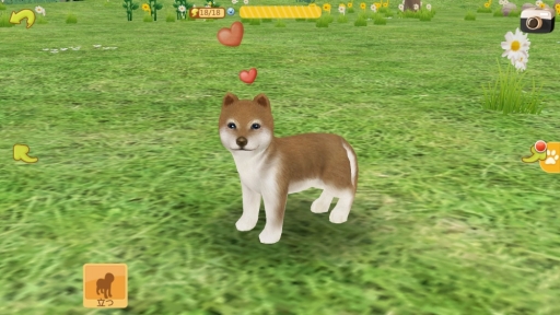 画像ギャラリー No.005のサムネイル画像 / 「てのひらワンコ」，条件達成で“秋田犬”が手に入る「ハチ公冒険イベント」