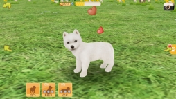 画像ギャラリー No.006のサムネイル画像 / 「てのひらワンコ」，条件達成で“秋田犬”が手に入る「ハチ公冒険イベント」