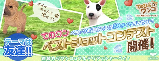 画像ギャラリー No.001のサムネイル画像 / 「てのひらワンコ」，ベストショットコンテストの応募受付がスタート