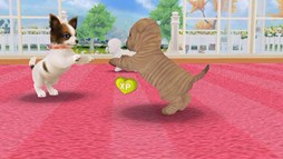 画像ギャラリー No.005のサムネイル画像 / 「てのひらワンコ」，ベストショットコンテストの応募受付がスタート