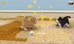 画像ギャラリー No.006のサムネイル画像 / 「てのひらワンコ」結婚や妊娠に役立つアイテムをもらえるキャンペーンが開催