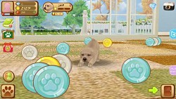 画像ギャラリー No.002のサムネイル画像 / 「てのひらワンコ」,ゲーム内で手に入るコインや経験値を大幅にアップ