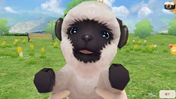 画像ギャラリー No.002のサムネイル画像 / 「てのひらワンコ」ストリートコンテスト週間ランキングイベントが7月21日より開催